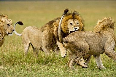 叫板终极版 《GTA：SA》高清材质优化MOD发布